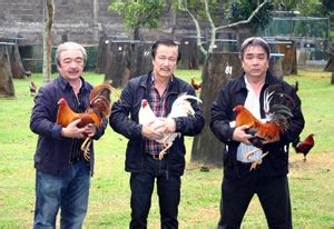 dicky lim gamefarm|Winslet Gamefarm .